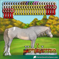 Horse Color:Buckskin Snowcap 
