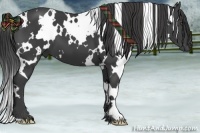 Horse Color:White Spotted Smoky Black Frame 