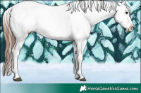 Horse Color:Brown Sabino Snowflake Varnish 