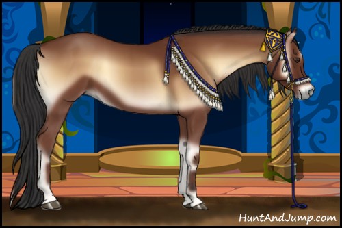 Horse Color:Bay Onyx 
