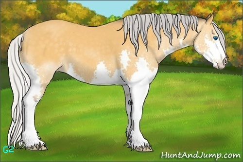 Horse Color:Silver Buckskin Splash 