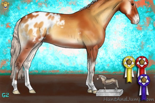 Horse Color:Silver Buckskin Onyx Appaloosa 
