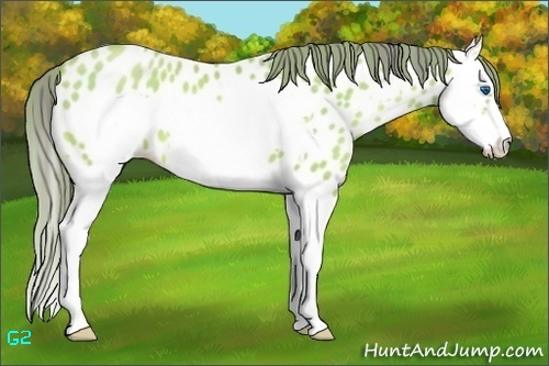 Horse Color:Watercolor Bay Pearl Splash Frame Near Leopard