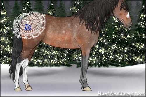 Horse Color:Bay Rabicano