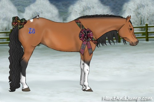 Horse Color:Bay Tobiano 