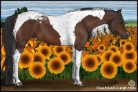 Horse Color:Brown Tobiano