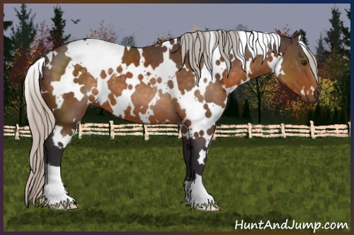 Horse Color:White Spotted Silver Buckskin