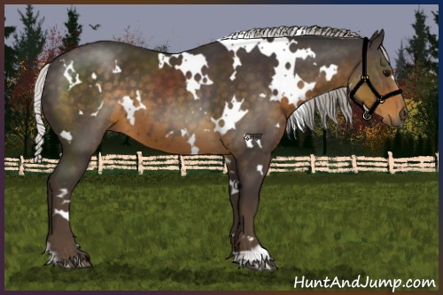 Horse Color:White Spotted Silver Smoky Black 