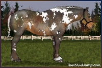 Horse Color:White Spotted Silver Smoky Black 