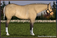 Horse Color:Silver Buckskin Dun Rabicano 