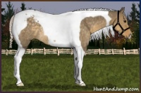Horse Color:Silver Smoky Grullo Tobiano Rabicano 