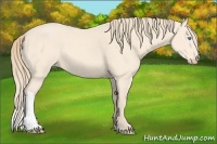Horse Color:Perlino 