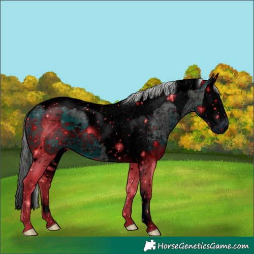 Horse Color:ERROR: UNKNOWN ANOMALY