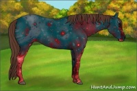 Horse Color:ERROR: UNKNOWN ANOMALY