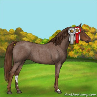 Horse Color:Gray Red Roan 