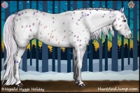 Horse Color:Watercolor White Spotted Silver Buckskin Appaloosa