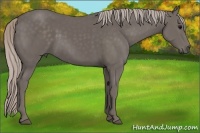 Horse Color:Silver Black 