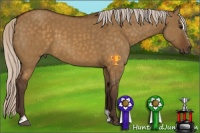 Horse Color:Silver Buckskin Dun Sabino