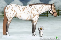 Horse Color:Buckskin Dun Near Leopard 