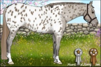 Horse Color:Smoky Grullo Near Leopard Rabicano 