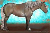 Horse Color:White Spotted Silver Black Sabino 