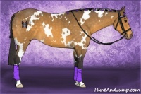 Horse Color:White Spotted Buckskin 