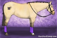 Horse Color:Buckskin Dun 