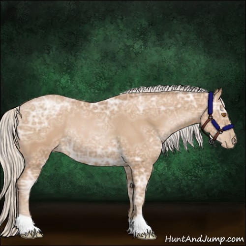Horse Color:Silver Black Ice Pearl Rabicano