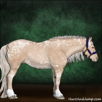 Horse Color:Silver Black Ice Pearl Rabicano