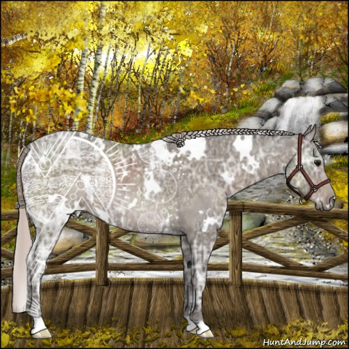 Horse Color:White Spotted Silver Black Ice Rabicano