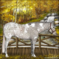 Horse Color:White Spotted Silver Black Ice Rabicano