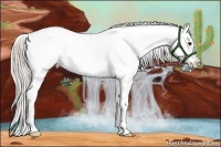 Horse Color:Silver Brown Tobiano Varnish
