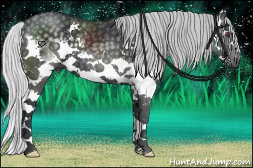 Horse Color:Silver Black Chinchilla Splash