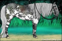 Horse Color:Silver Black Chinchilla Splash