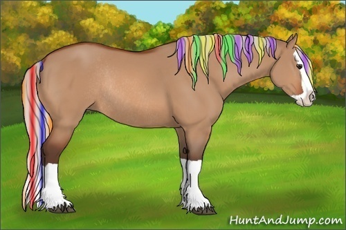 Horse Color:Painted Silver Bay Dun Splash Rabicano