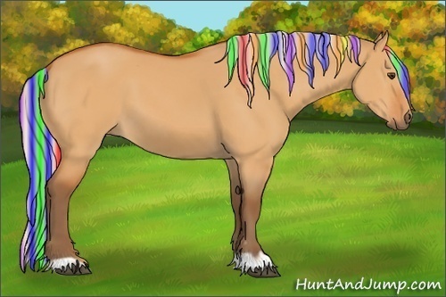 Horse Color:Painted Silver Buckskin Dun 
