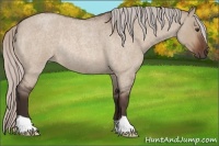 Horse Color:Silver Brown Roan Dun Rabicano 