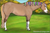 Horse Color:Painted Silver Bay Dun Splash Rabicano 