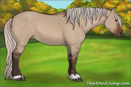 Horse Color:Silver Brown Dun 