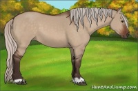 Horse Color:Silver Brown Dun 