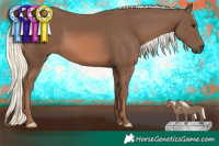 Horse Color:Chestnut Mushroom