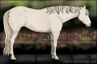 Horse Color:Smoky Creme Roan 