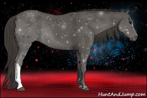 Horse Color:Smoky Blue Roan 