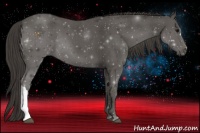 Horse Color:Smoky Blue Roan