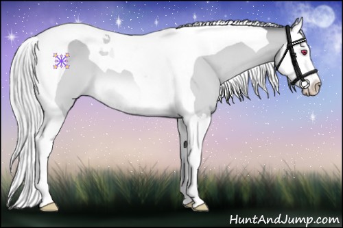 Horse Color:Silver Bay Chinchilla Splash Tobiano