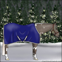 Horse Color:White Spotted Silver Black