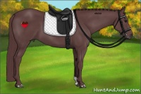 Horse Color:Chocolate Black 