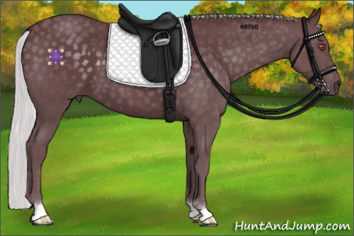 Horse Color:Chocolate Silver Blue Chinchilla Roan 