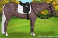 Horse Color:Chocolate Silver Blue Chinchilla Roan 