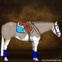 Horse Color:Silver Grullo Splash